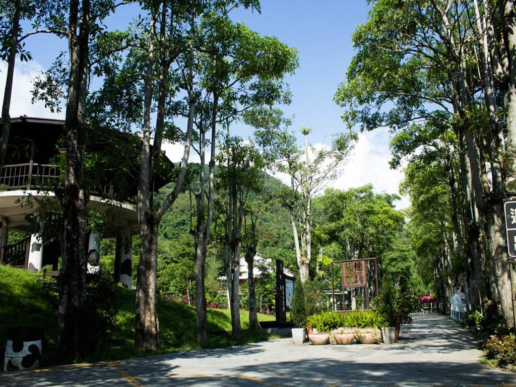 Lin Tea B&B Ruisui Pokoj fotografie