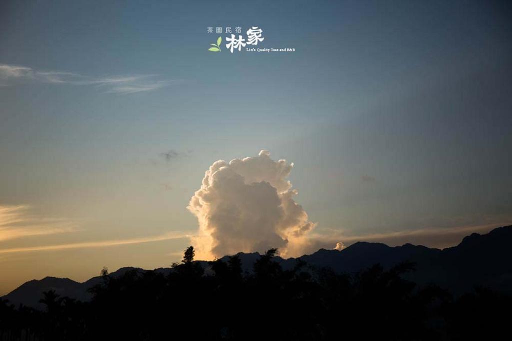 Lin Tea B&B Ruisui Exteriér fotografie